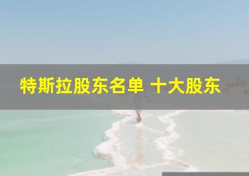 特斯拉股东名单 十大股东